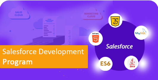  Salesforce Development Program  Program - Skillible 